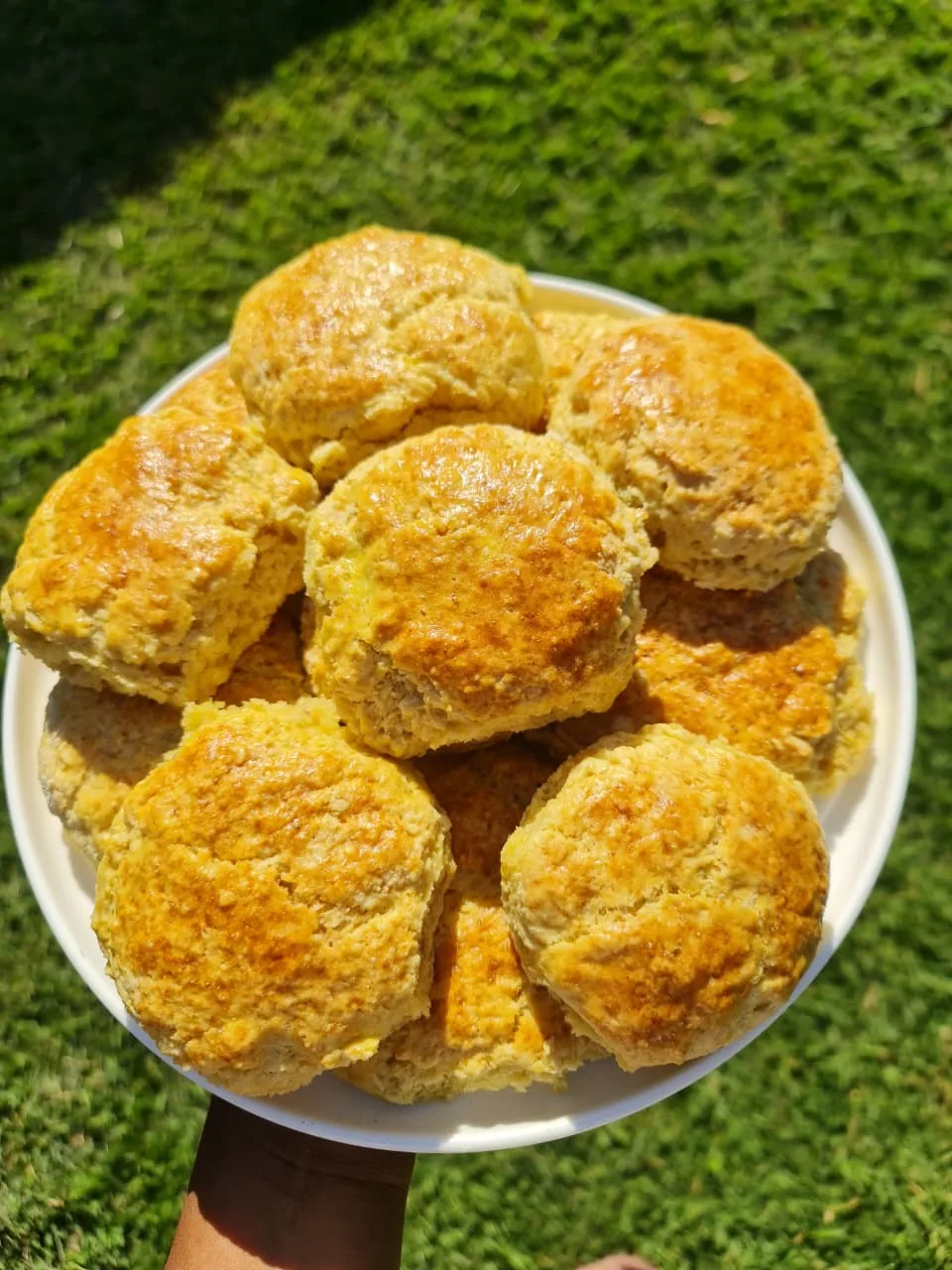 Plate of golden scones